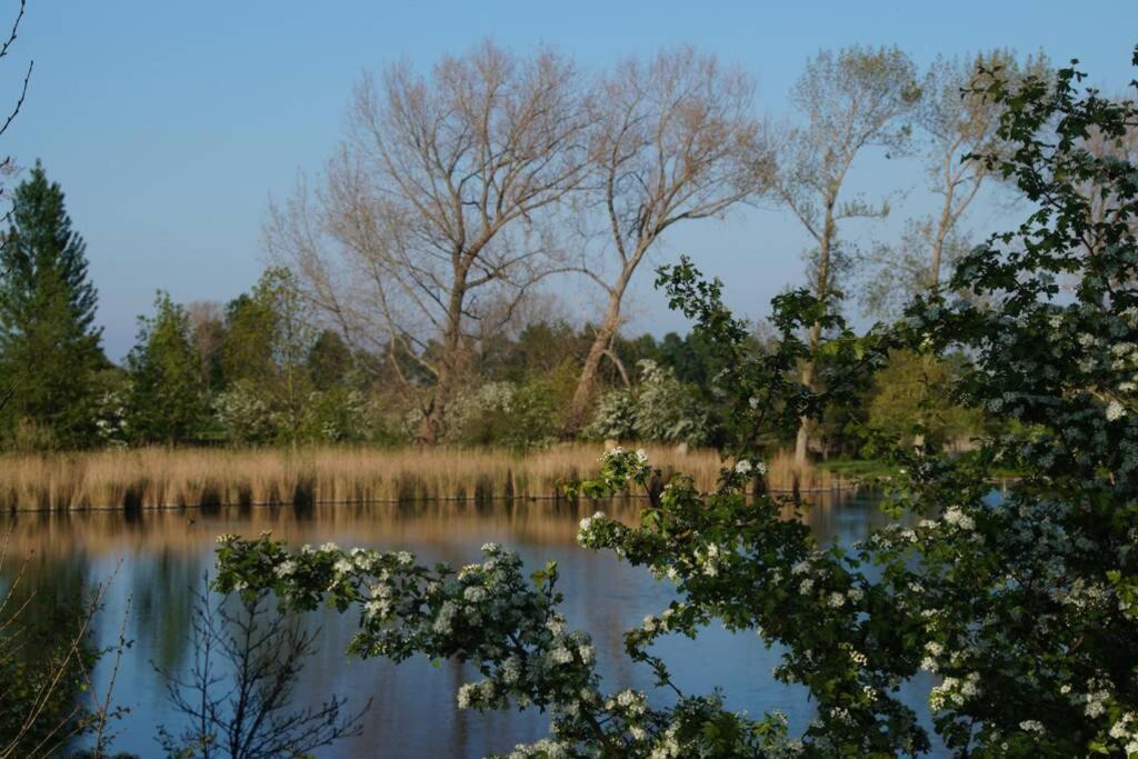 Vakantiewoning Het Olietunnetje Ovezande Zewnętrze zdjęcie