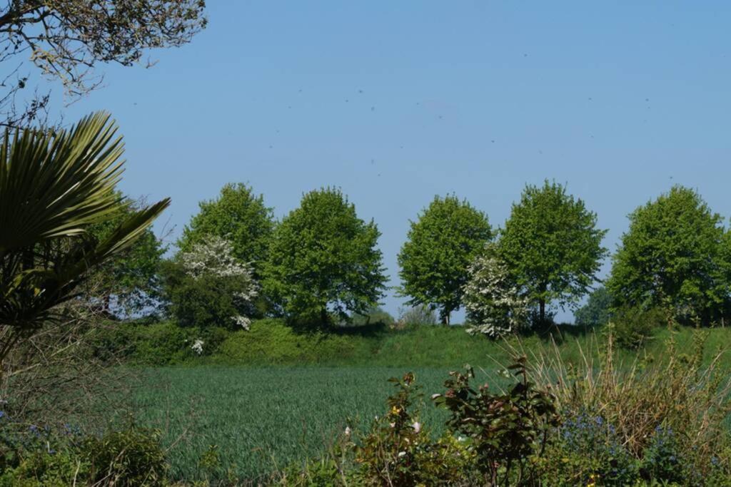 Vakantiewoning Het Olietunnetje Ovezande Zewnętrze zdjęcie